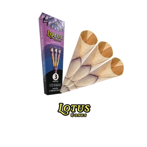 ROSE PALM LOTUS CONES 3PK 15CT