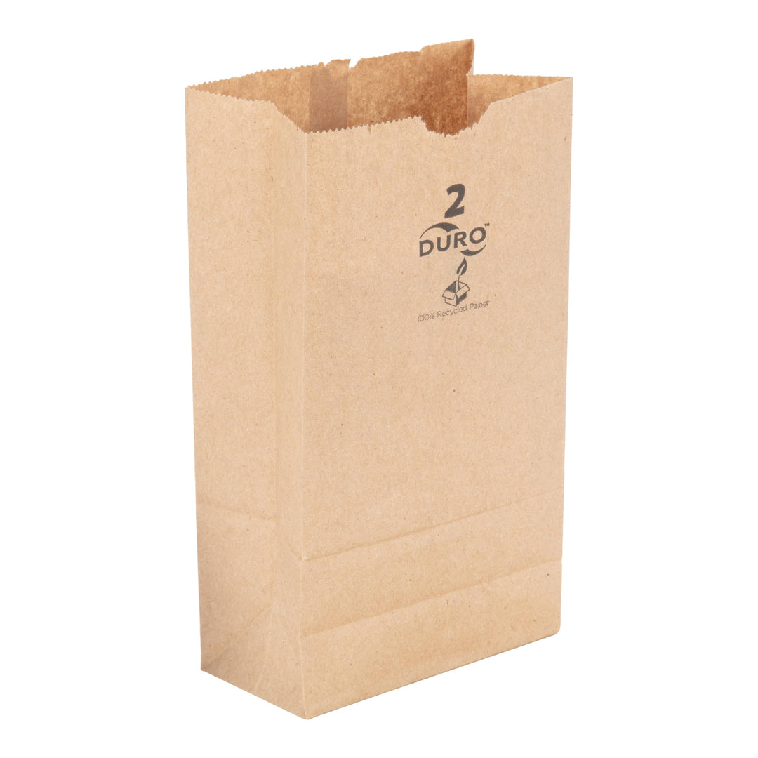 Brown Paper Bags #2 500ct