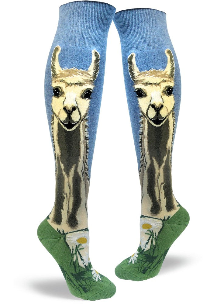 ModSocks Novelty Socks