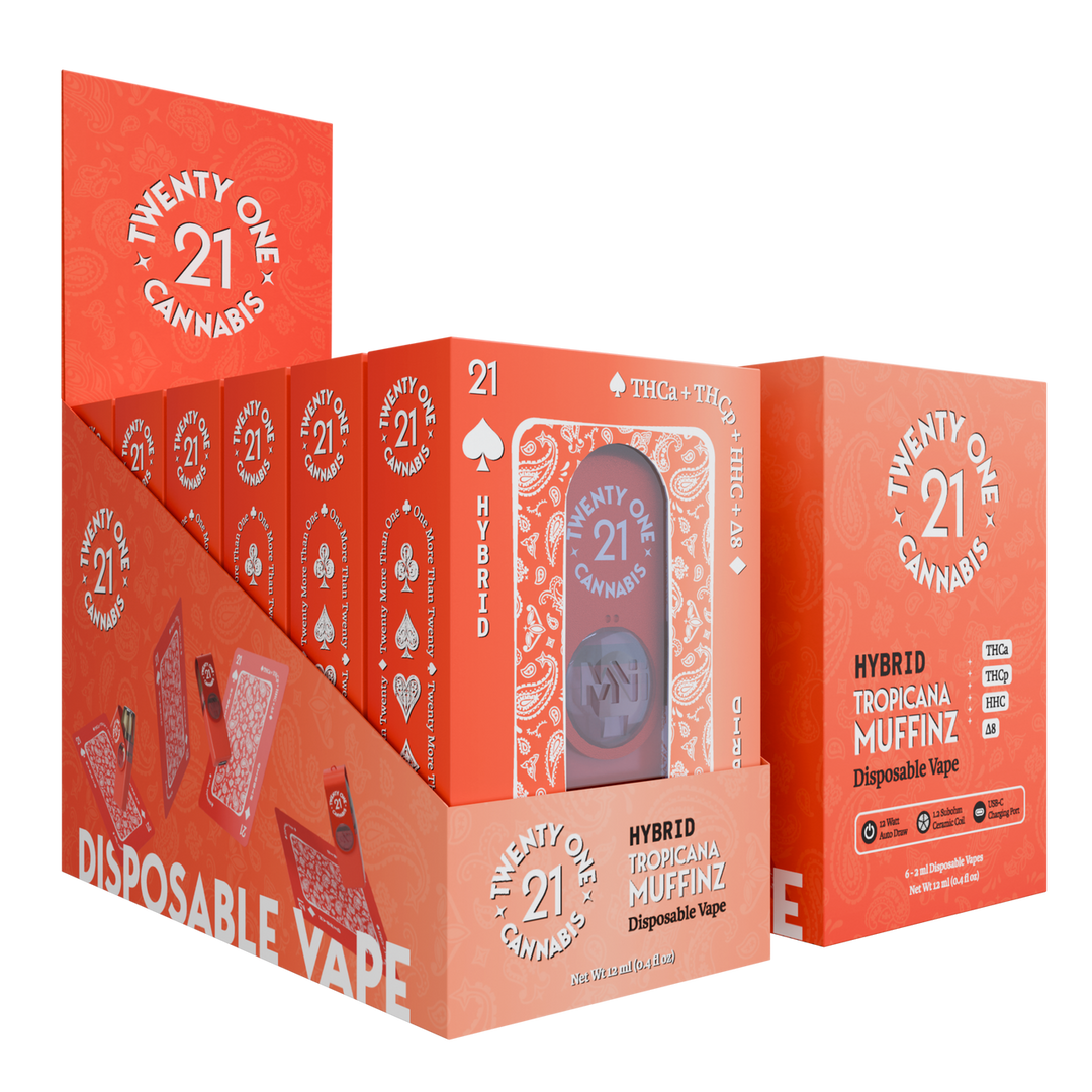 TWENTY ONE CANNABIS 2G THCA HEMP DISPOSABLE
